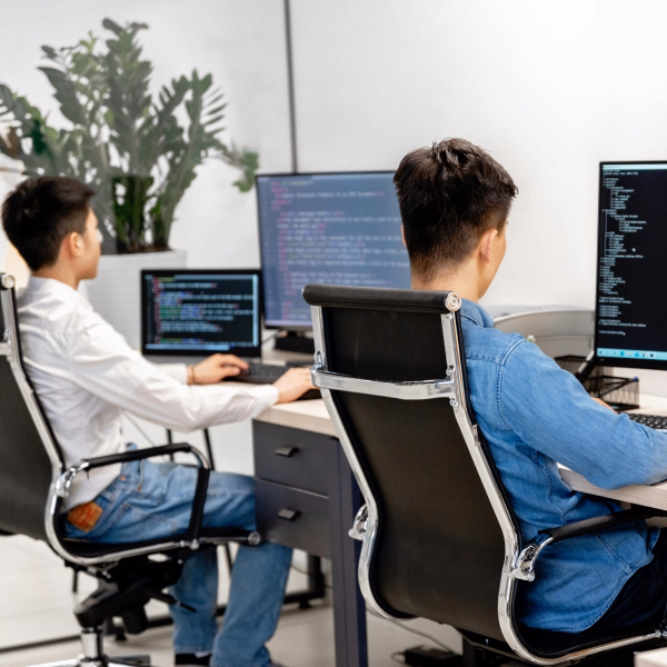 Software development process